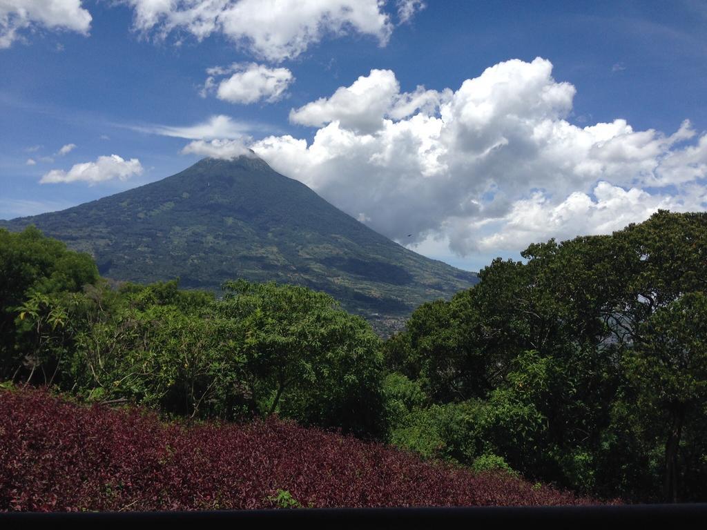 Villa 14 Santa Ines Antigua Guatemala 객실 사진